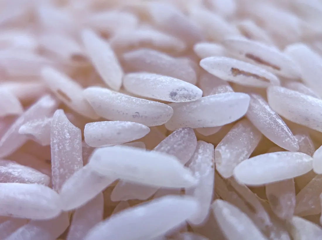 Grano símil fortificado FORTIFIKA